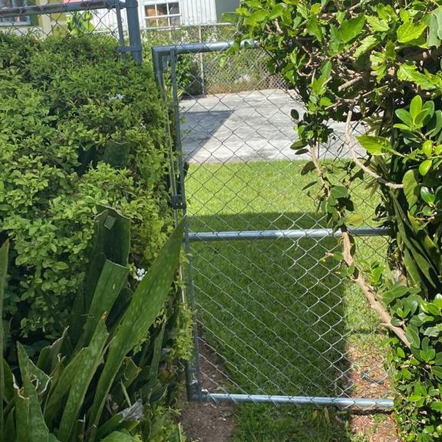 Fence and gate between a house and hedges