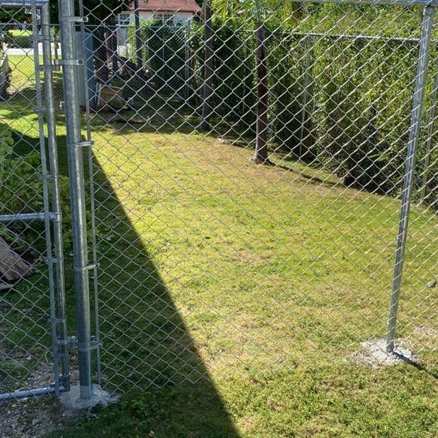 Chain-link fence along a lawn
